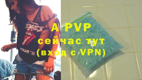 стафф Арсеньев
