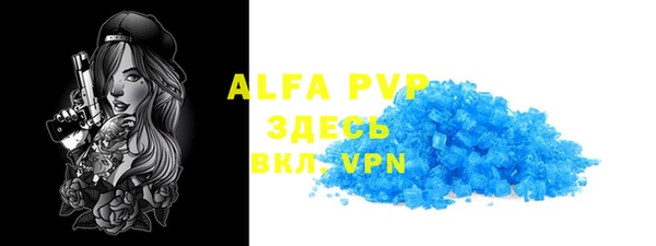 стафф Арсеньев