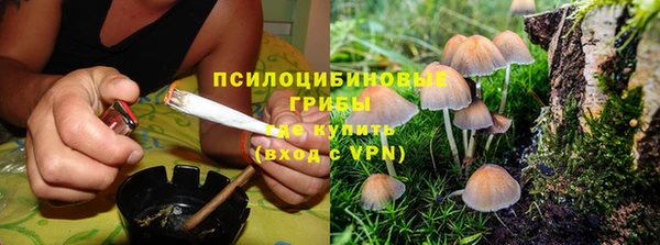 а пвп мука Армянск
