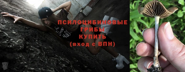 стафф Арсеньев
