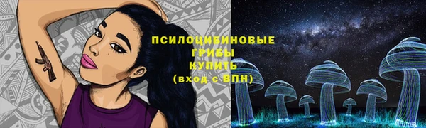 стафф Арсеньев