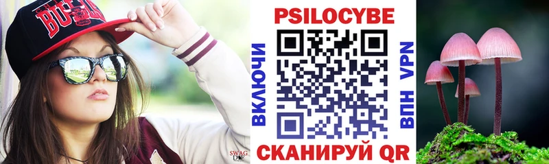 Галлюциногенные грибы Psilocybe  сайты даркнета как зайти  Строитель 