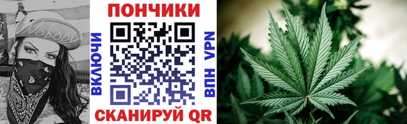 Конопля гибрид Строитель